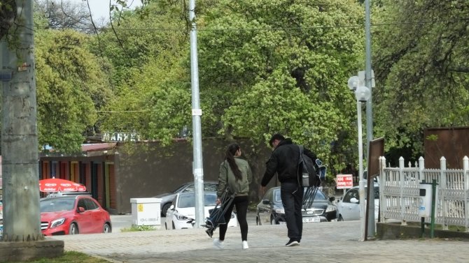 Baharın müjdecisi yeşilleniyor! Tarihi meşeler yapraklandı