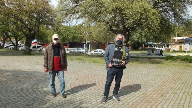 Baharın müjdecisi yeşilleniyor! Tarihi meşeler yapraklandı