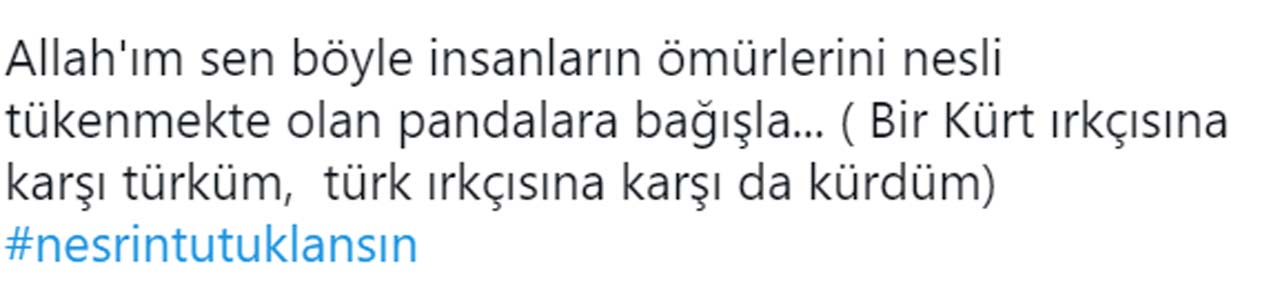Twitter ayağa kalktı! #Nesrintutuklansın olayı nedir?