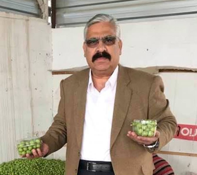 Hamilelere müjde! Yaz aylarının ekşi lezzeti erik hasadı başladı, kilosu 30 liraya düştü