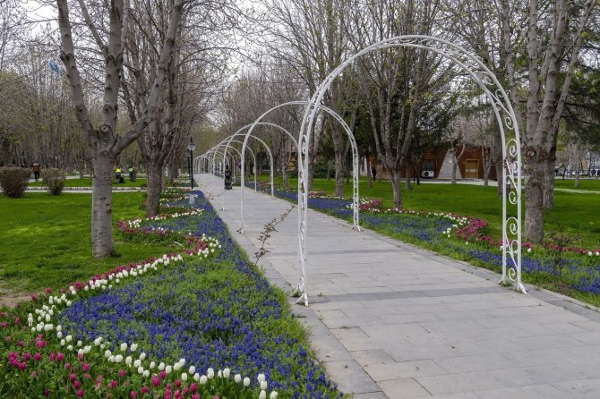 Kayseri çiçek açtı: Rengarenk görsel şölen oluştu