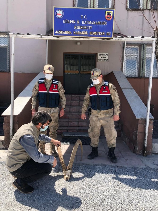 Nesli tükenme tehlikesi yaşıyor! Başkan Tanış’tan ‘dağ keçilerini koruyalım’ çağrısı