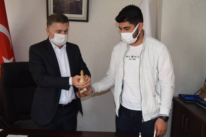 Şanlıurfa'da nesli tükenme tehlikesinde olan ’Balaban kuşu’ yaralı halde bulundu