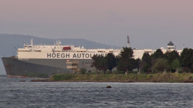 Tuzla’da araba taşıyıcı gemi karaya oturdu! Kurtarılmayı bekiyor