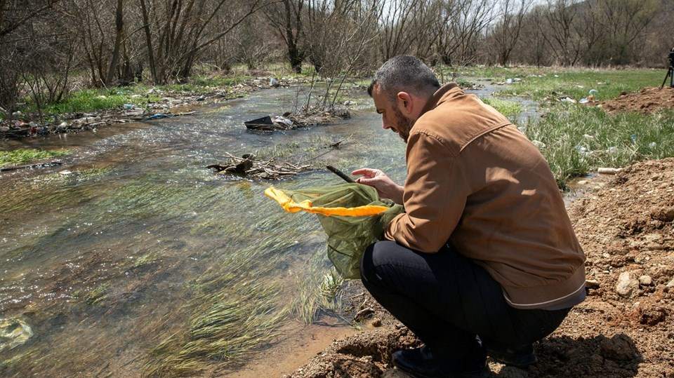 Kosova'da yeni bir böcek türü keşfedildi: Koronavirüs böceği! 