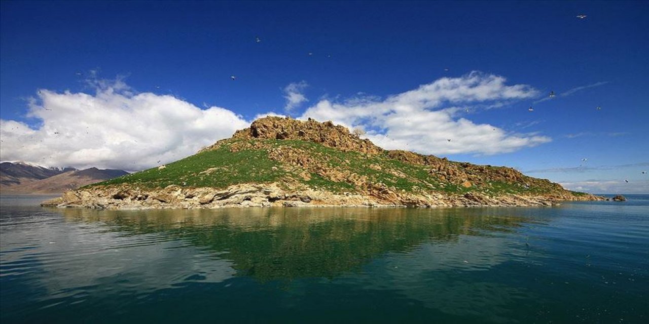 Resmi Gazete'de yayımlandı: 7 ilde kesin korunacak alanlar ilan edildi!