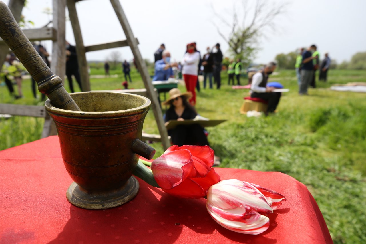 Doğanın güzelliği sanatçılara ilham kaynağı oldu! Kırklareli'nde çiçek açan armut bahçeleri resmedildi