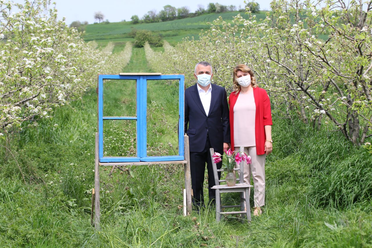 Doğanın güzelliği sanatçılara ilham kaynağı oldu! Kırklareli'nde çiçek açan armut bahçeleri resmedildi