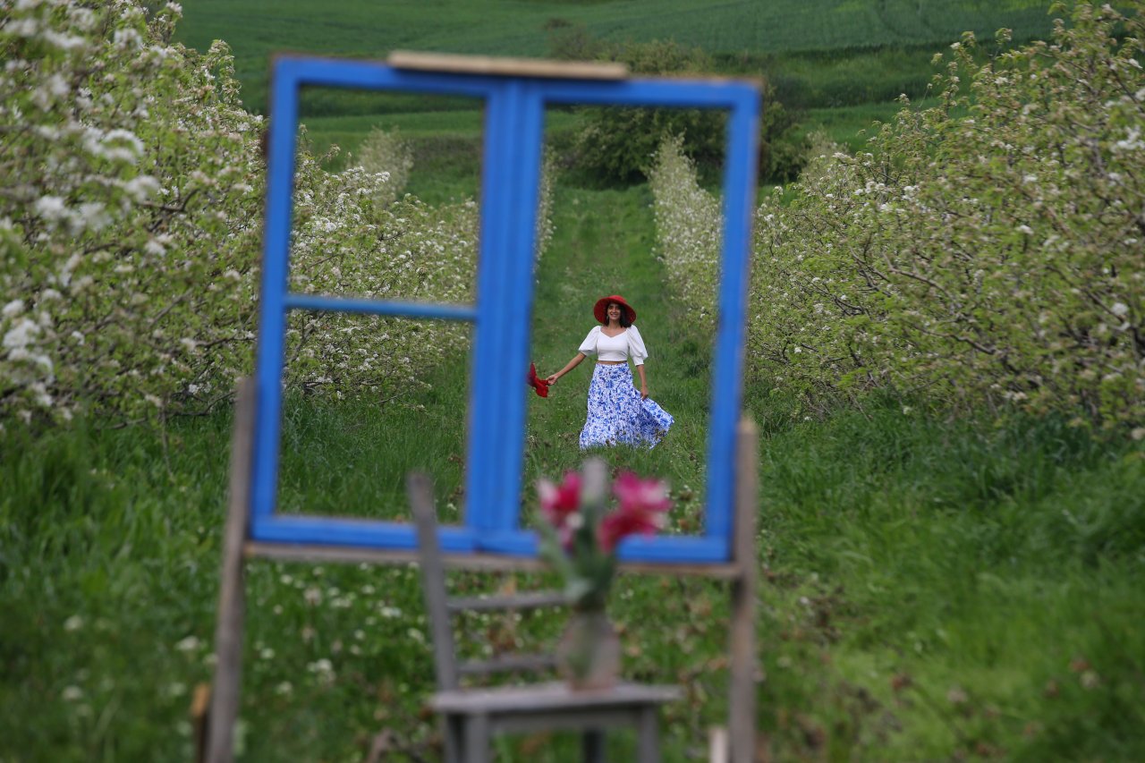 Doğanın güzelliği sanatçılara ilham kaynağı oldu! Kırklareli'nde çiçek açan armut bahçeleri resmedildi