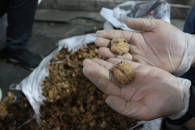 Ceviz kabuklarının içerisine gizlenmiş 153 kilo 550 gram afyon sakızı ele geçirildi