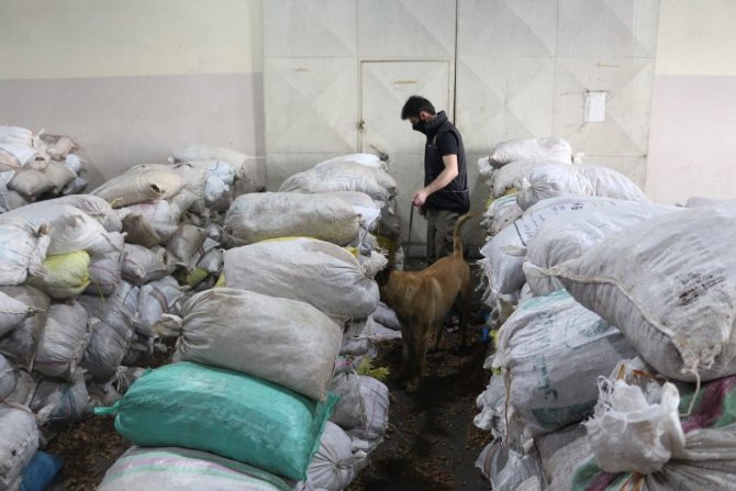 Ceviz kabuklarının içerisine gizlenmiş 153 kilo 550 gram afyon sakızı ele geçirildi