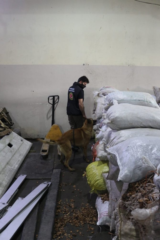 Ceviz kabuklarının içerisine gizlenmiş 153 kilo 550 gram afyon sakızı ele geçirildi