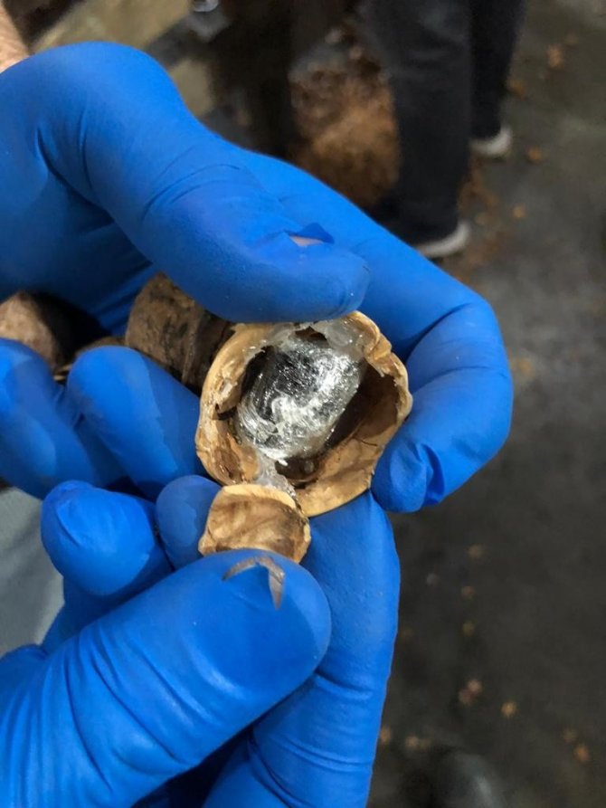 Ceviz kabuklarının içerisine gizlenmiş 153 kilo 550 gram afyon sakızı ele geçirildi