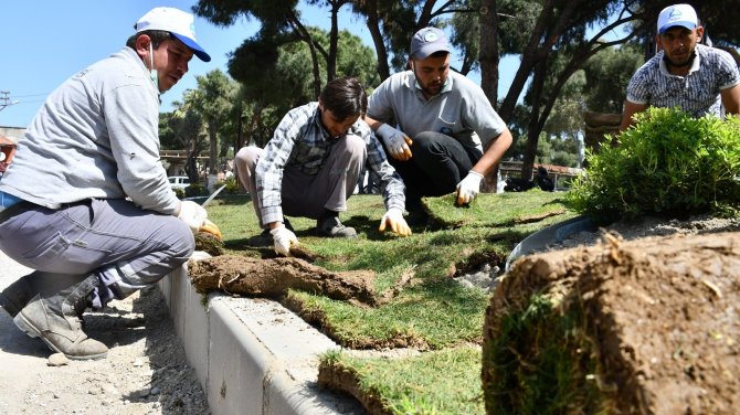 Söke bahar havasına büründü! Yeşil alanlar çieçeklendiriliyor