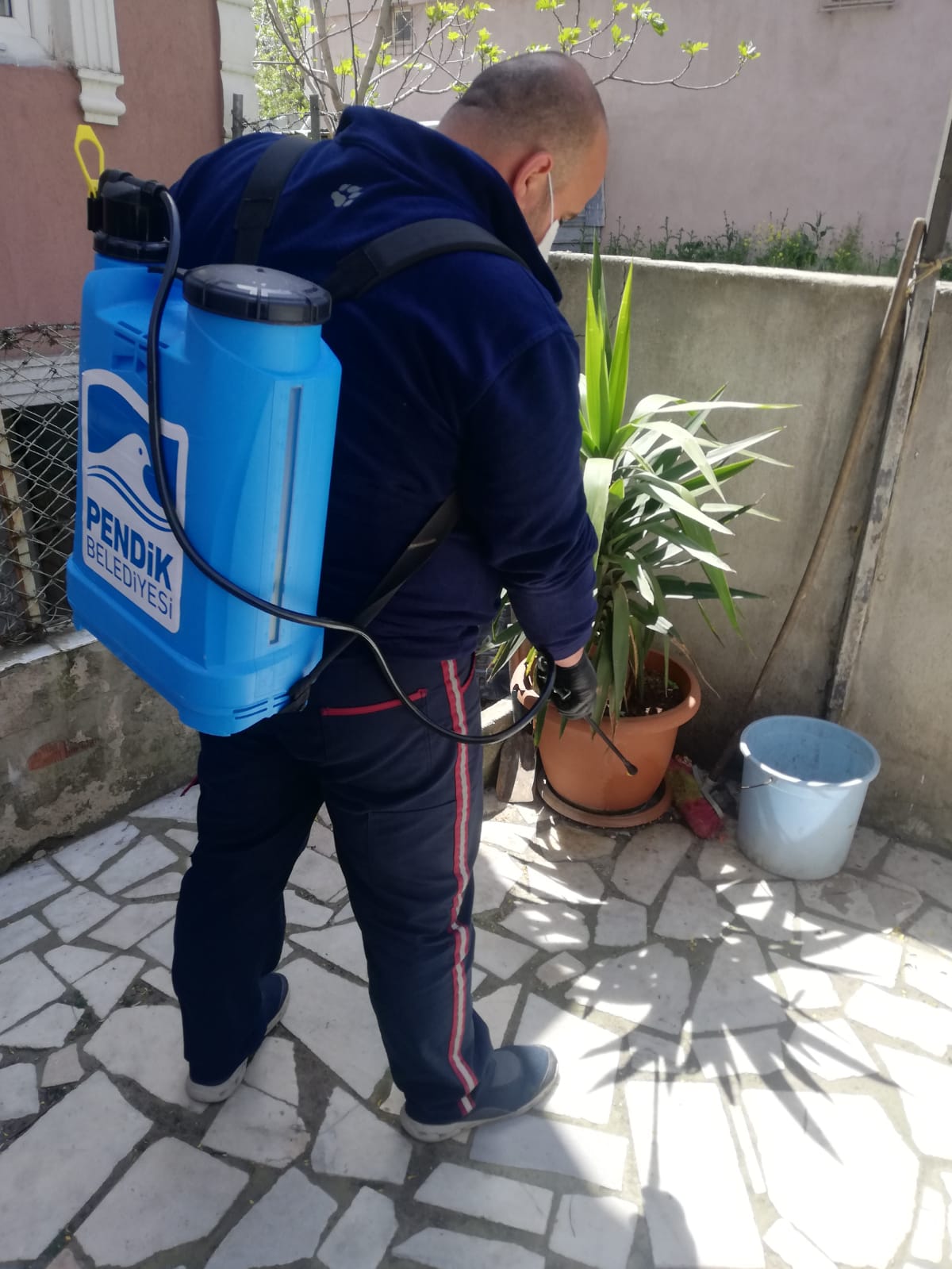 Pendik'te ilaçlama çalışmaları hız kesmeden devam ediyor!