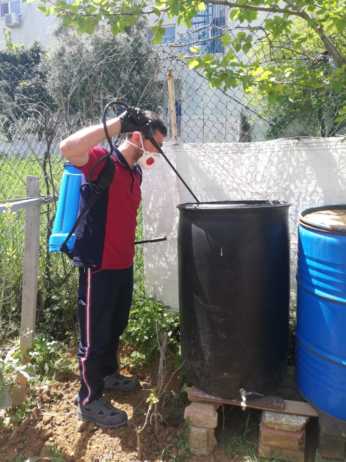 Pendik'te ilaçlama çalışmaları hız kesmeden devam ediyor!