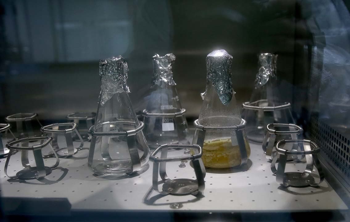 Birçok ülkede kullanımı askıya durdurulmuştu! AstraZeneca aşısına bir şok daha: İngiltere'de 40 yaş altına yapılmayacak!