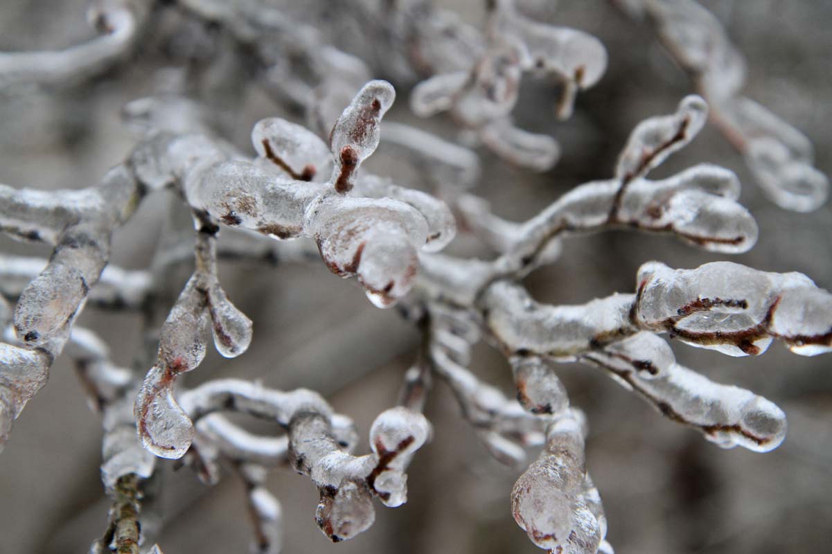 Meteoroloji'den 5 il için kritik uyarı! Hava sıcaklığı sıfırın altına düşecek