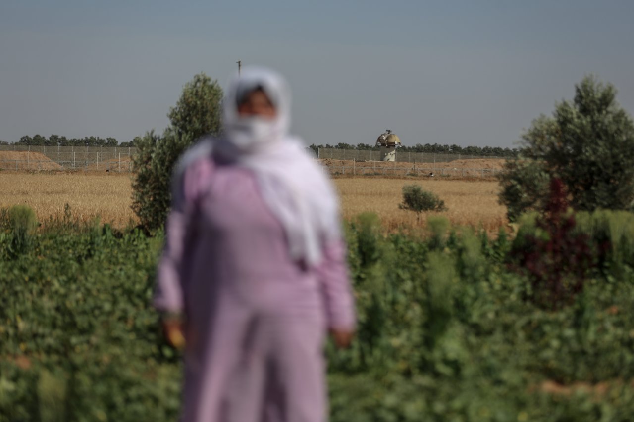Filistinli kadınların toprak mücadelesi: 