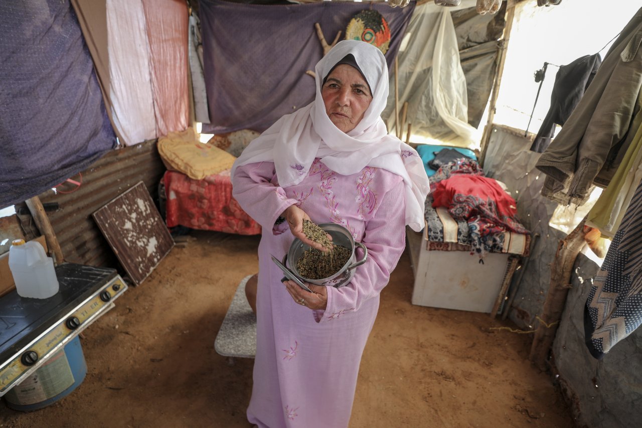 Filistinli kadınların toprak mücadelesi: 