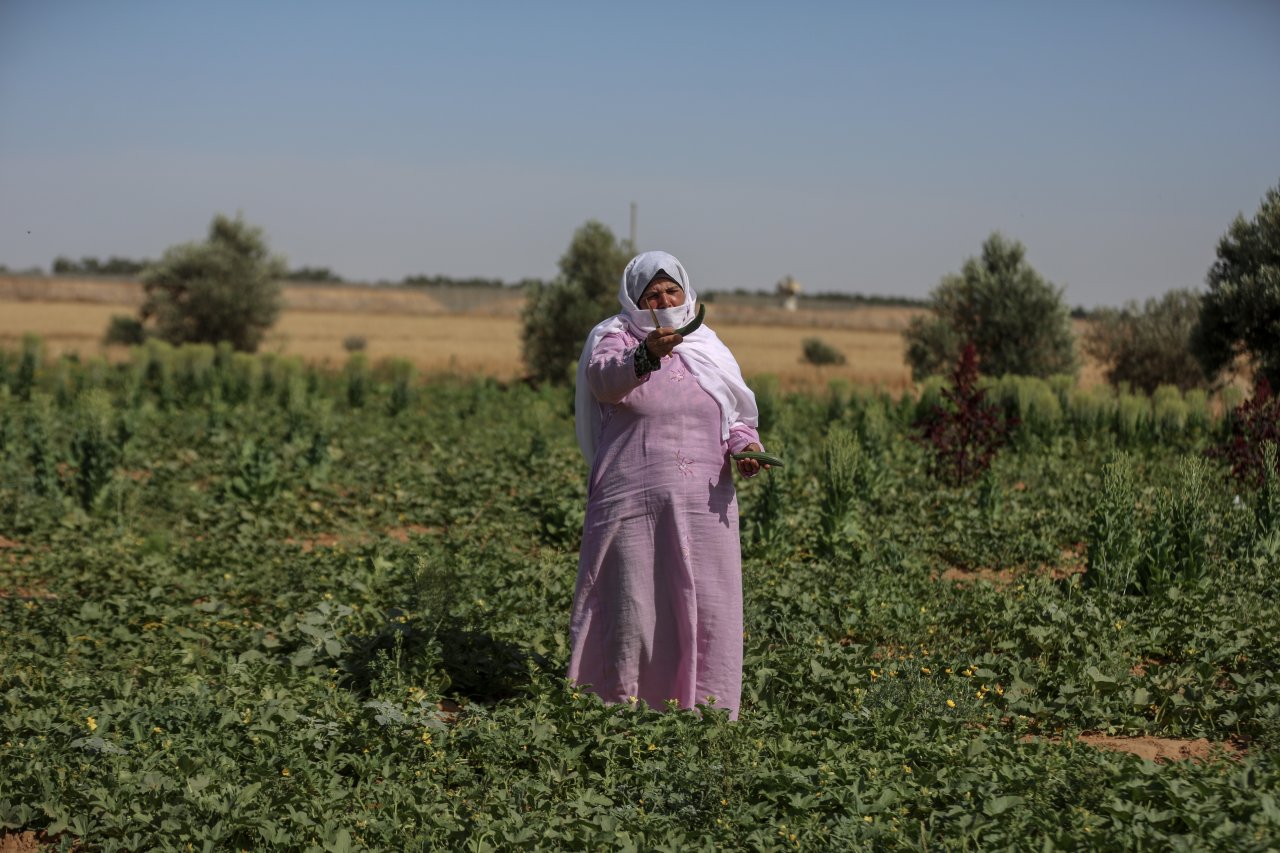 Filistinli kadınların toprak mücadelesi: 