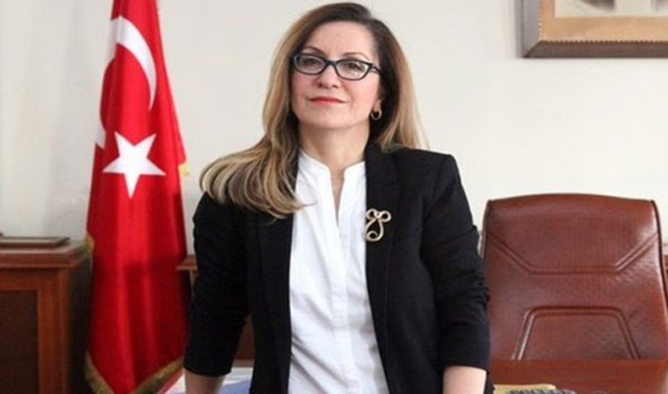 Mimar Sinan Üniversitesi Rektörü Prof. Dr. Handan İnci Elçi kimdir? Nereli? Kaç yaşında?