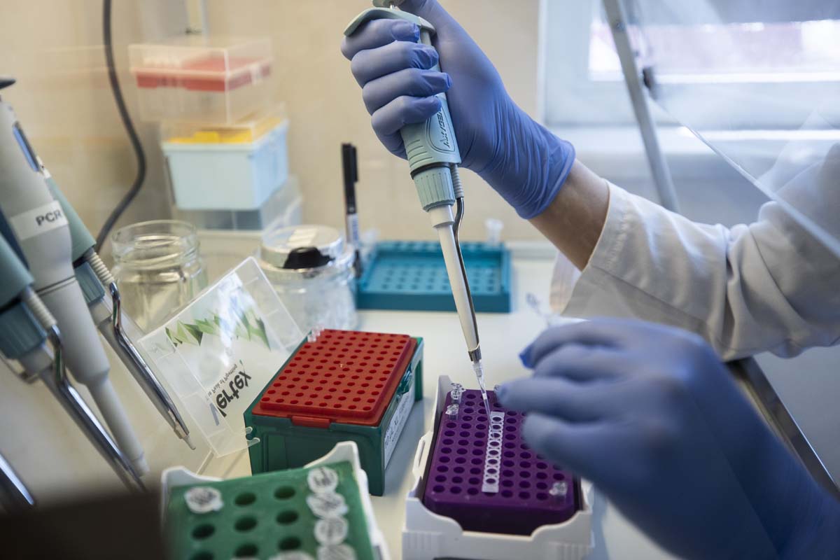 Sanayi ve Teknoloji Bakanı Varank'tan yerli aşı tesisine bayram ziyareti!