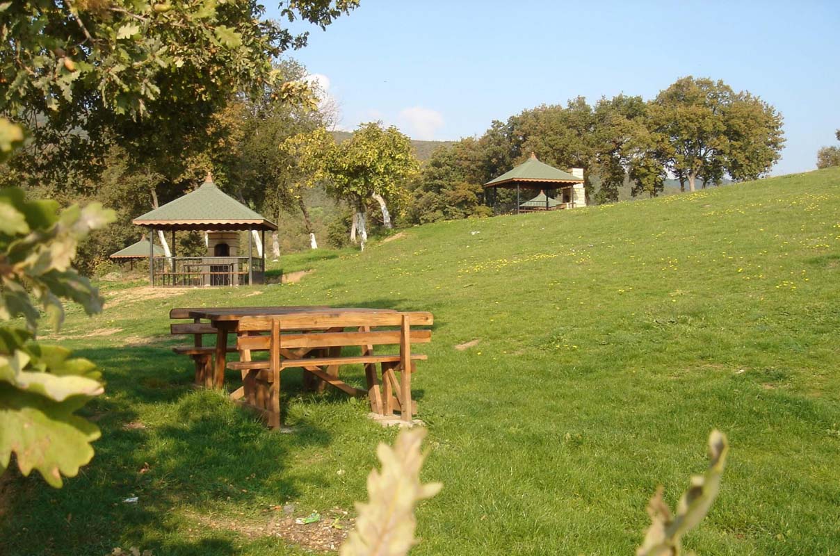 Piknik yerleri açık mı, kapalı mı 2021? Piknik yerleri yasak mı, ne zaman açılacak? Mesire alanları açık mı 2021?