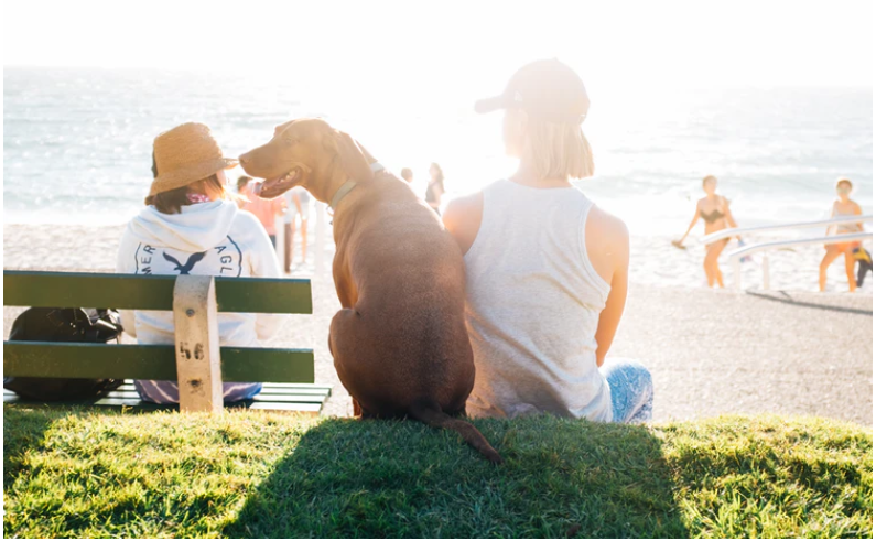 Meteoroloji uyardı: Ege'de sıcaklık 40 dereceye ulaştı, Marmara da kavrulacak! 5 büyük kent tehlikede!