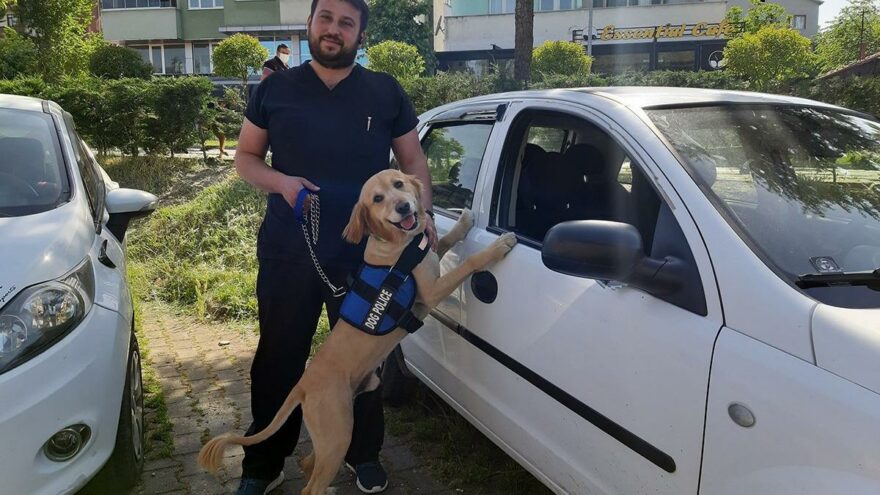 Bu merhamet insanlığa örnek olmalı! Köpek, mahsur kalan köpeğin hayatını kurtardı