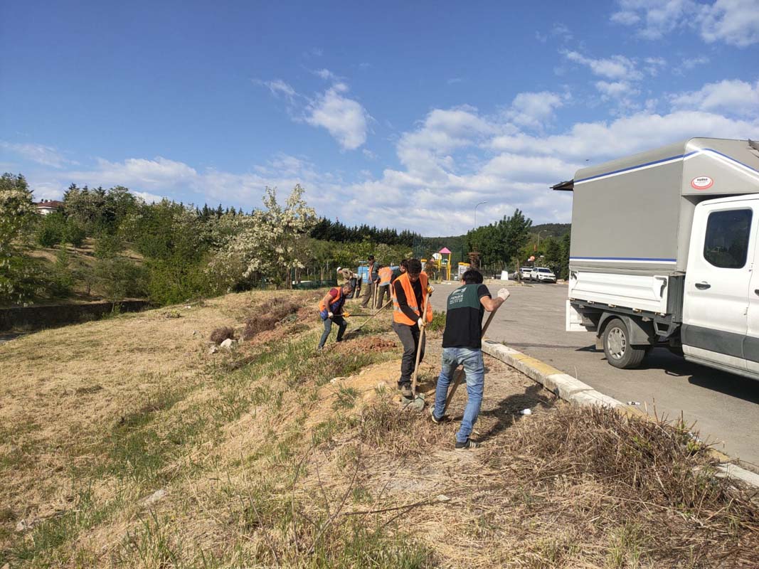 Pendik'te kapsamlı ağaç dikme çalışmaları hız kazandı!