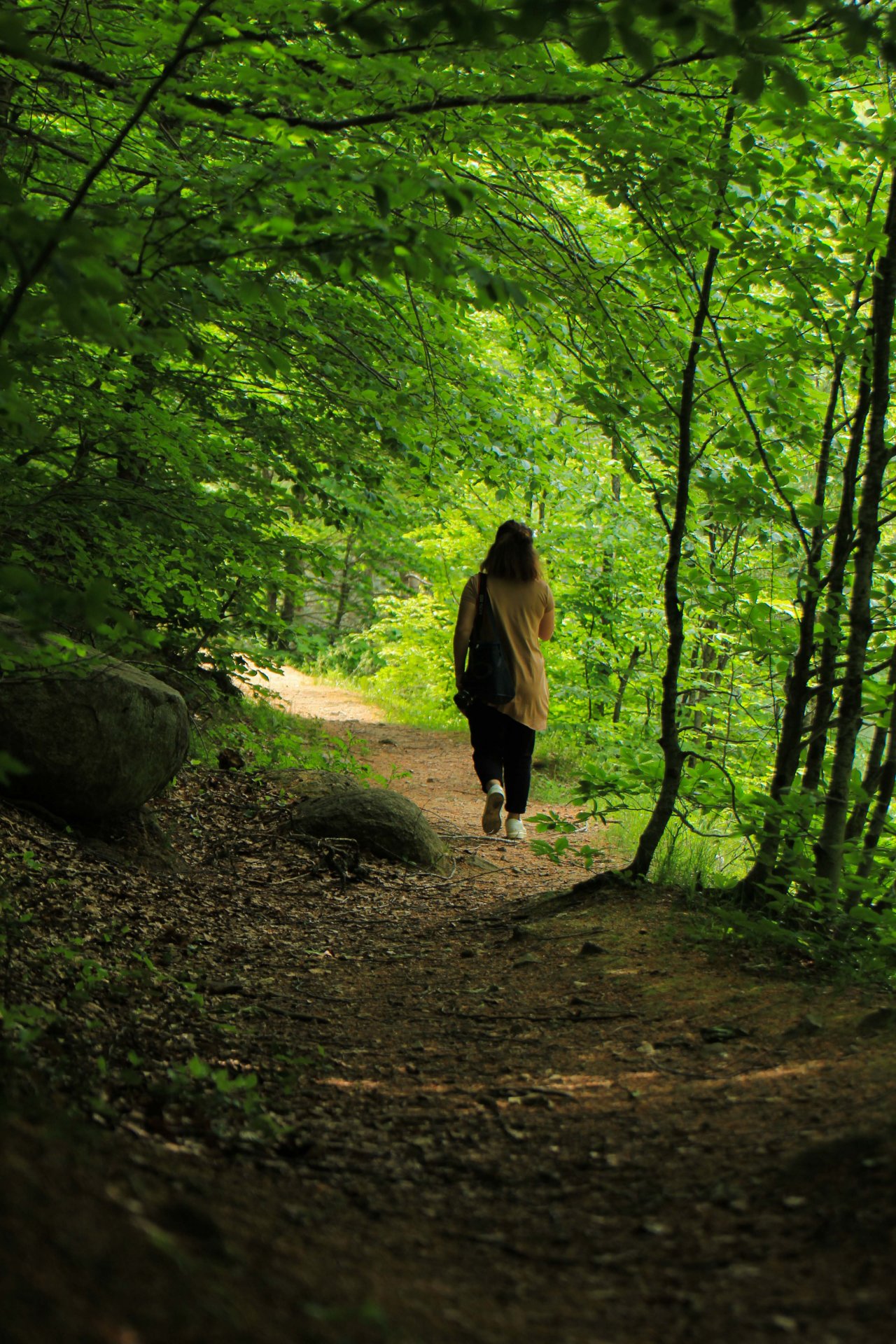 Büyüleyen güzellik! Domaniç Dağlarından yürekleri ısıtan ilkbahar manzaraları