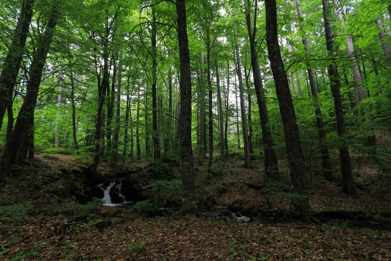 Büyüleyen güzellik! Domaniç Dağlarından yürekleri ısıtan ilkbahar manzaraları