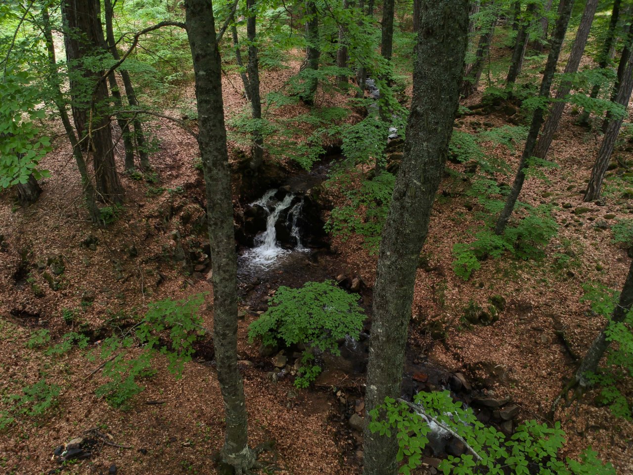 Büyüleyen güzellik! Domaniç Dağlarından yürekleri ısıtan ilkbahar manzaraları