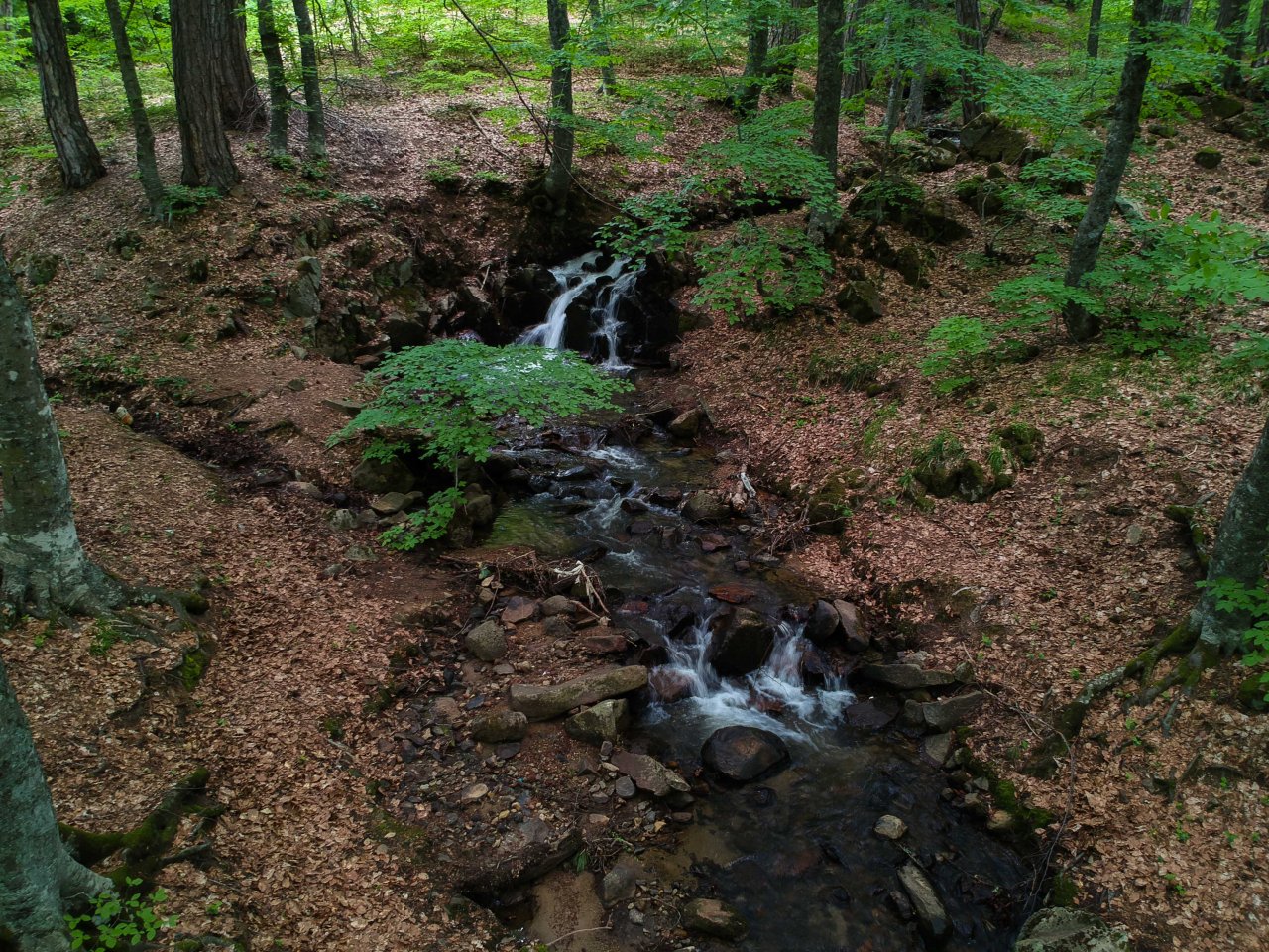 Büyüleyen güzellik! Domaniç Dağlarından yürekleri ısıtan ilkbahar manzaraları