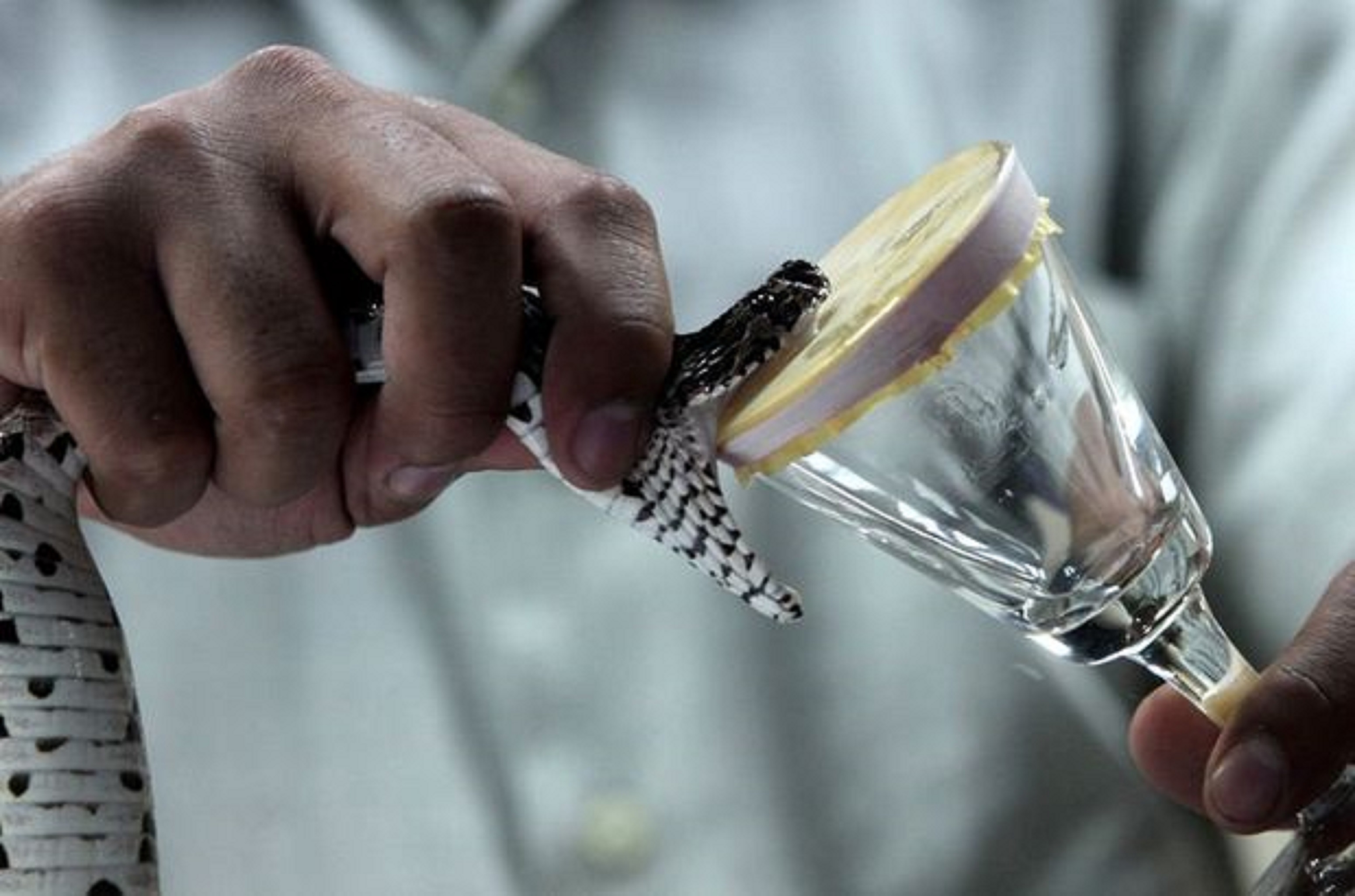 Araçlar çıkanlar şoke etti! 230 tüp arı ve kobra yılanı zehri ele geçirildi