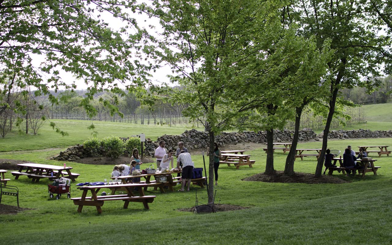 Piknik alanları açıldı mı 2021? Piknik yerleri kapalı mı, yasak mı 2021? Mesire alanları açık mı 2021?