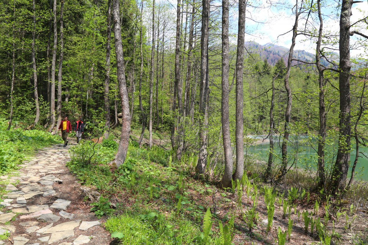 Türkiye'nin saklı cenneti büyülüyor! Doğa harikası Borçka Karagöl, ilk ziyaretçilerini ağırlamaya başladı