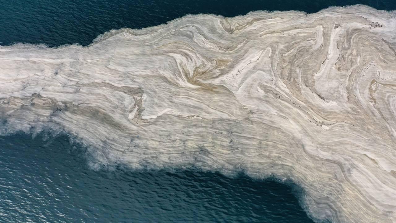 Marmaranın kabusu deniz salyası! Cumhurbaşkanı Bu sorunu İBBnin eline bırakamayız