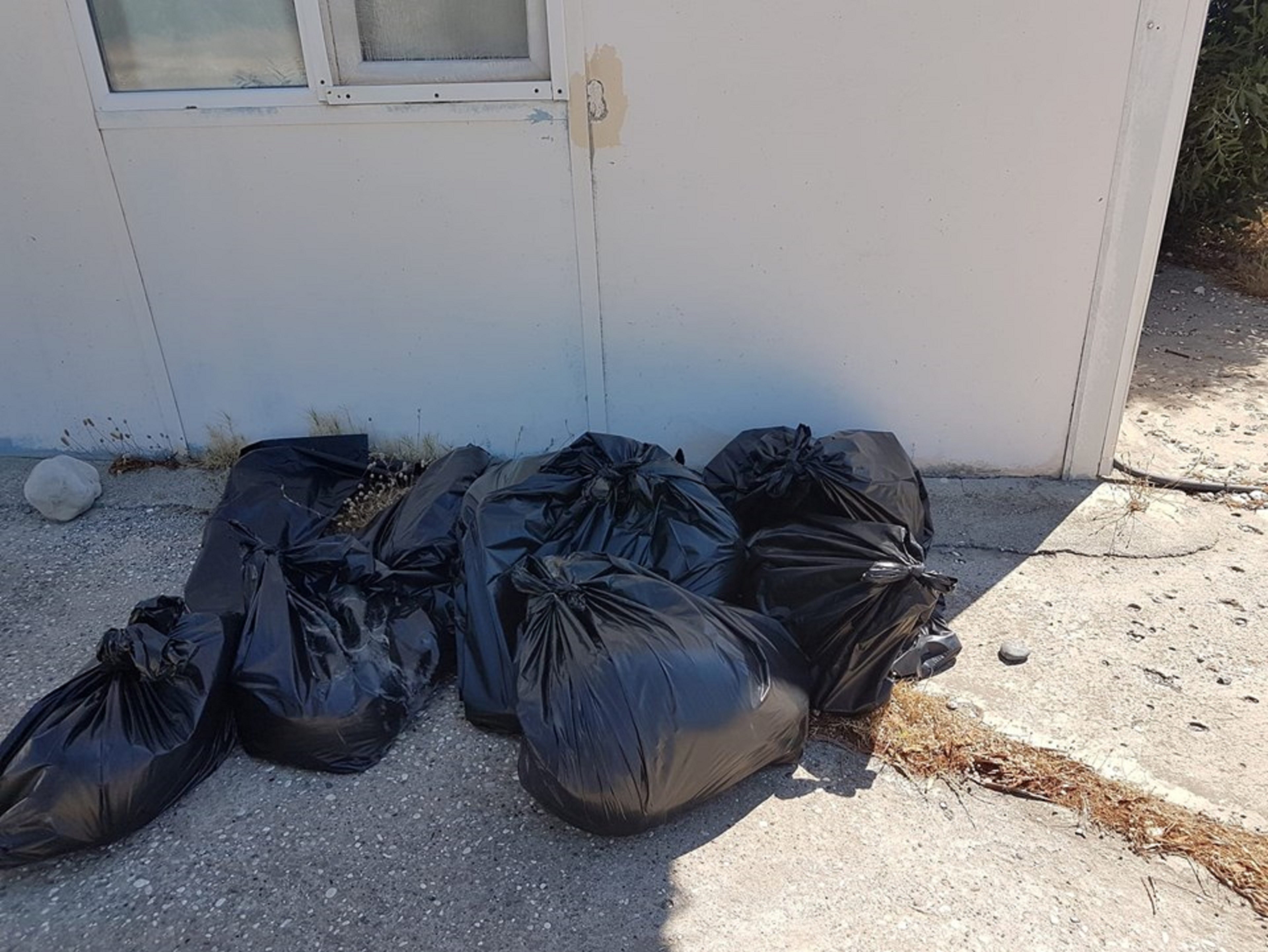 Nasıl kıydınız! Antalyada vahşet: 10 köpek zehirlenerek öldürüldü