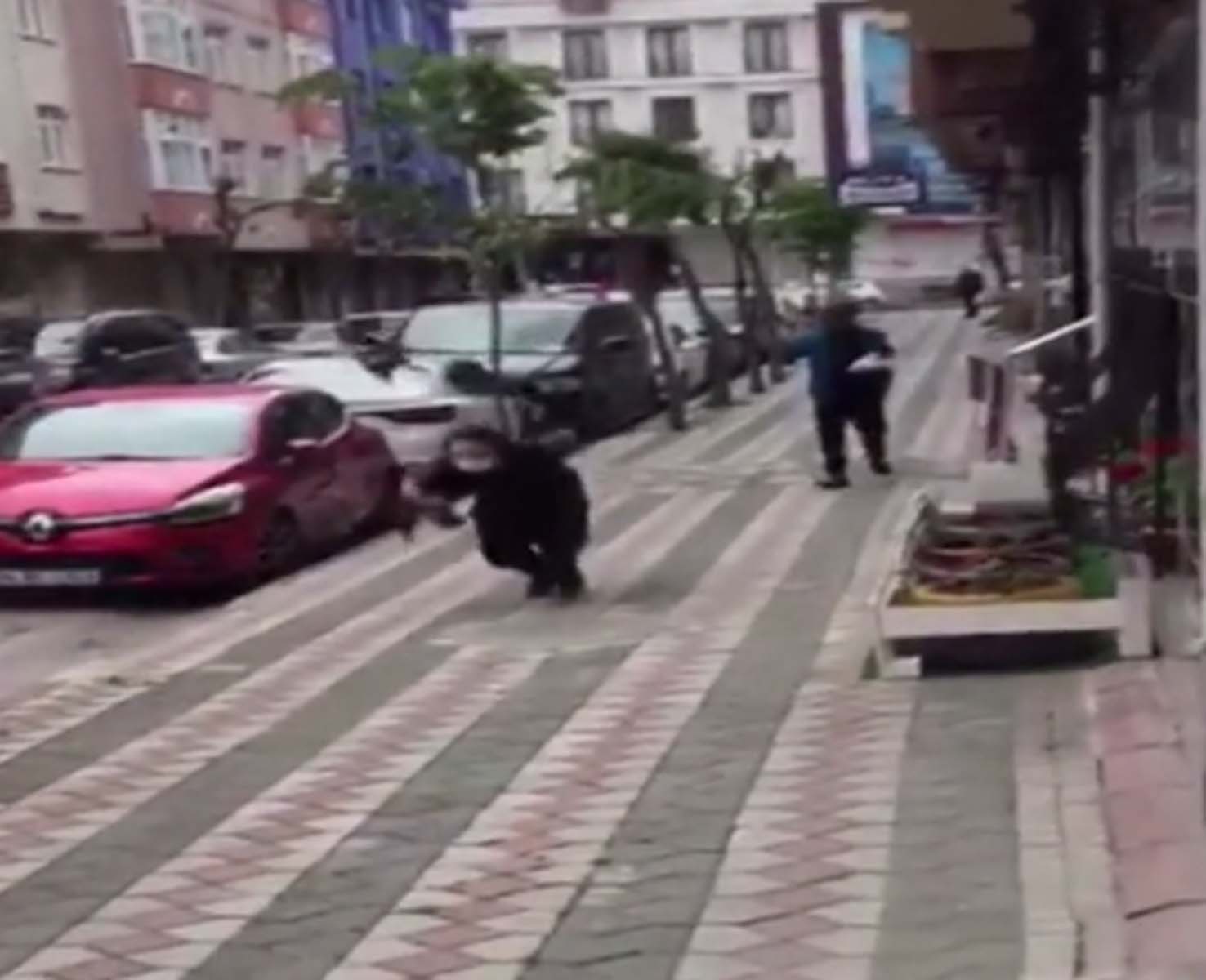 Korku dolu anlar! Yavru kargayı eline alan çocuk, anne ve baba karganın saldırısına uğradı