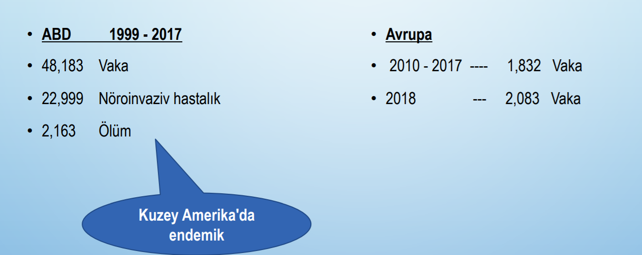 Batı Nil virüsü nedir? Nasıl bulaşır? Belirtileri nedir? Öldürür mü? | Batı Nil virüsü Türkiye