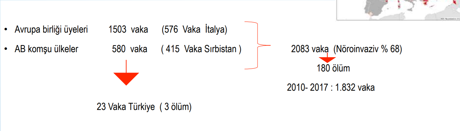 Batı Nil virüsü nedir? Nasıl bulaşır? Belirtileri nedir? Öldürür mü? | Batı Nil virüsü Türkiye