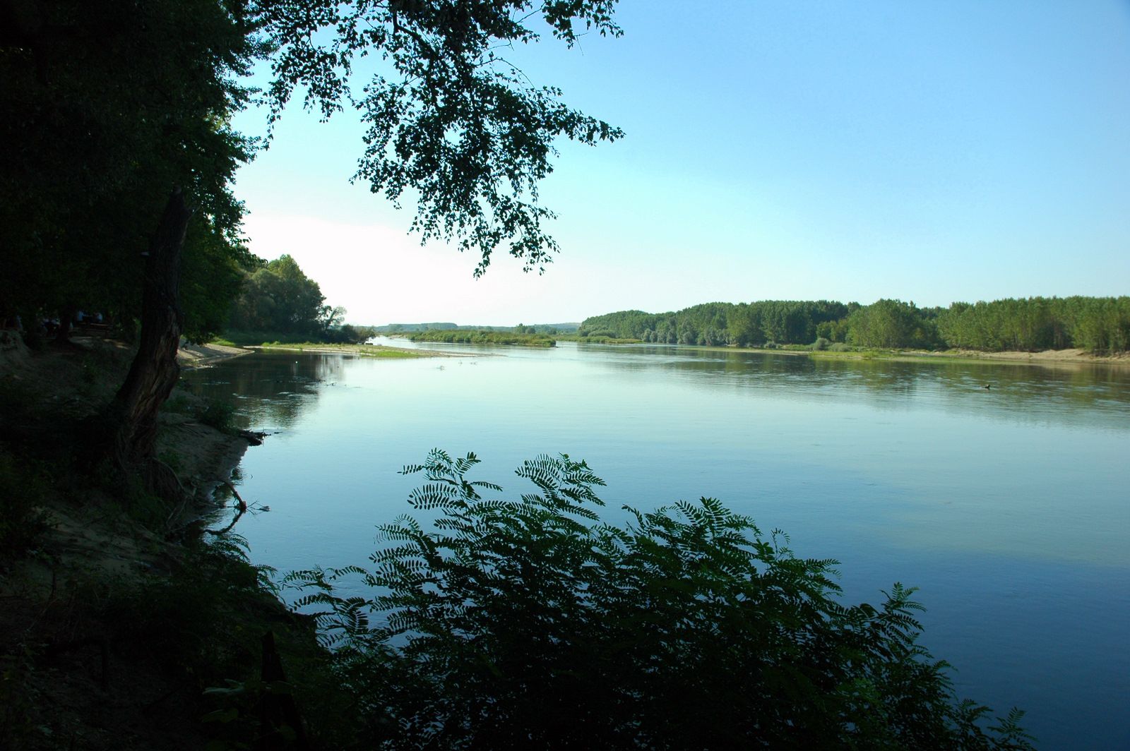 Tam not aldı! Meriç Nehri kürek sporunda Türkiye parkuru olma yolunda