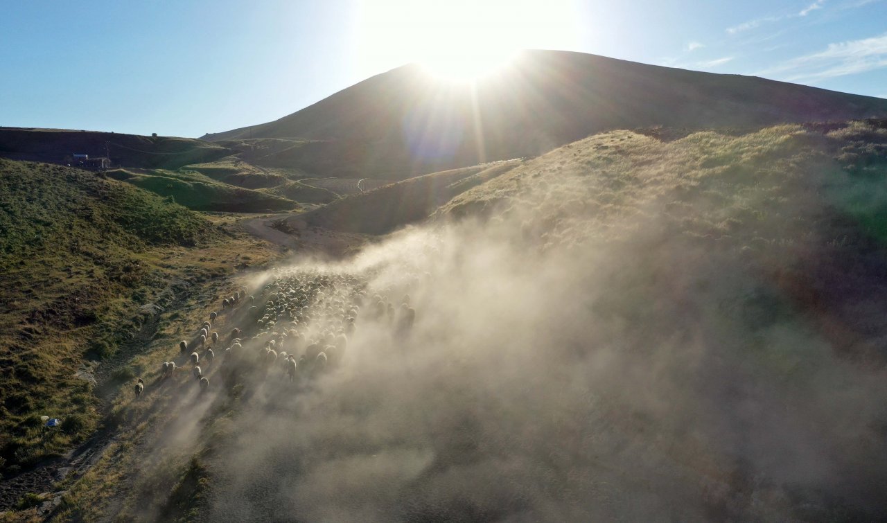 Nemrut Dağı eteklerinde göç yolculuğu! Bitlis'te küçükbaş hayvan sürüleri yaylalara çıkıyor