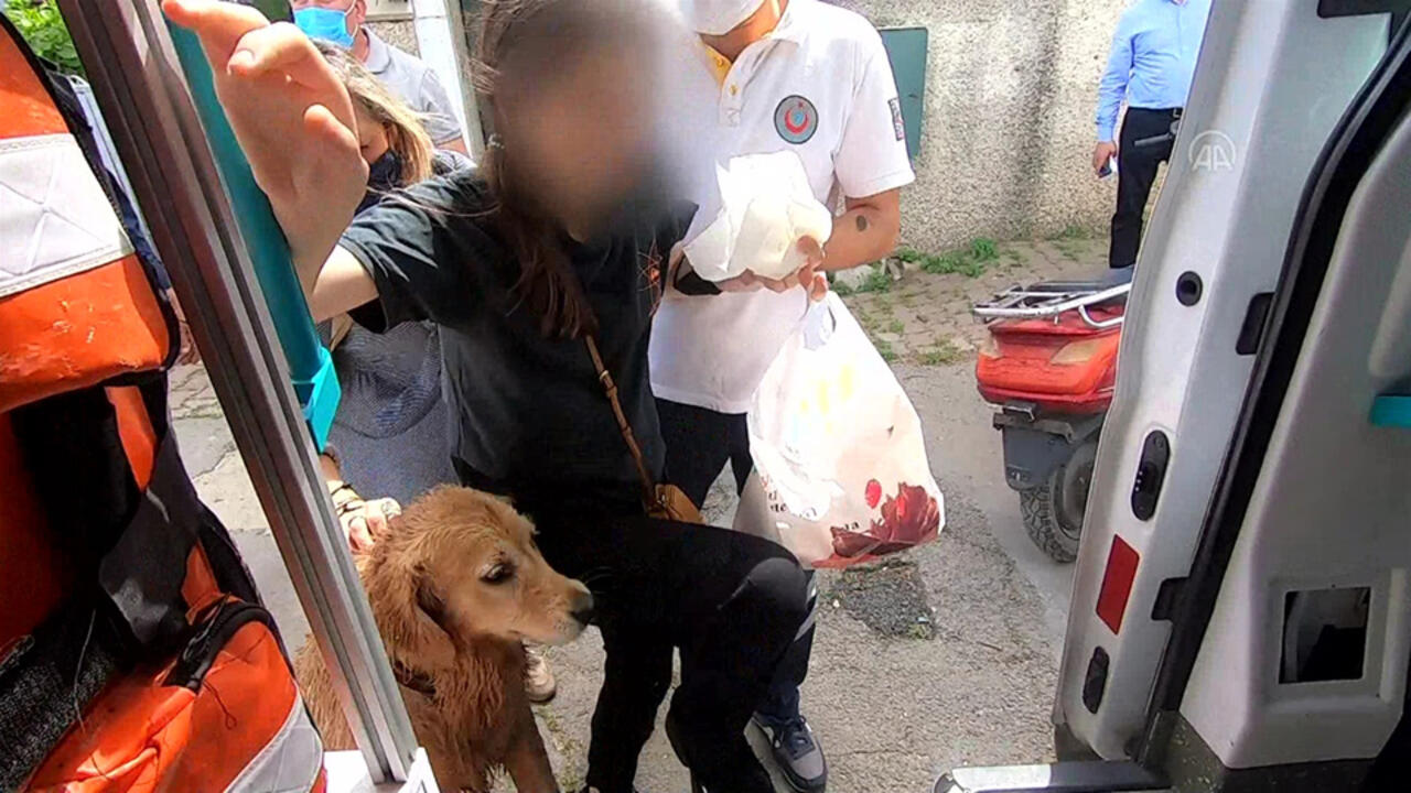 Rahatsızlanan sahibinin başından ayrılmadı! Vefalı dost sahibini yalnız bırakmadı