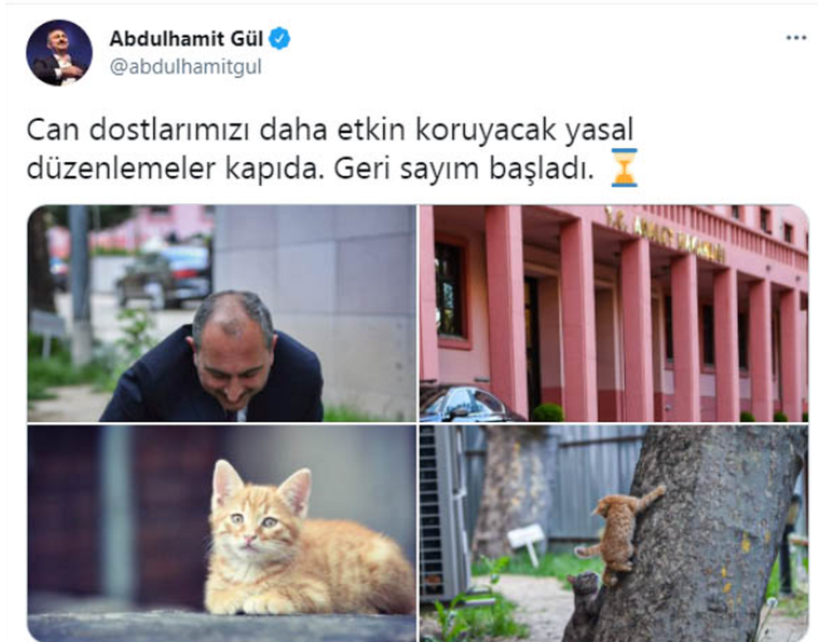 Nihayet beklenen karar geldi! Hayvanlar artık mal değil, canlı sayılacak