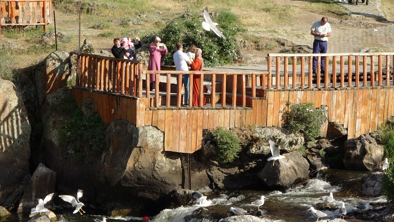 Emek dolu yolculuk! Van'da inci kefali göçü devam ediyor