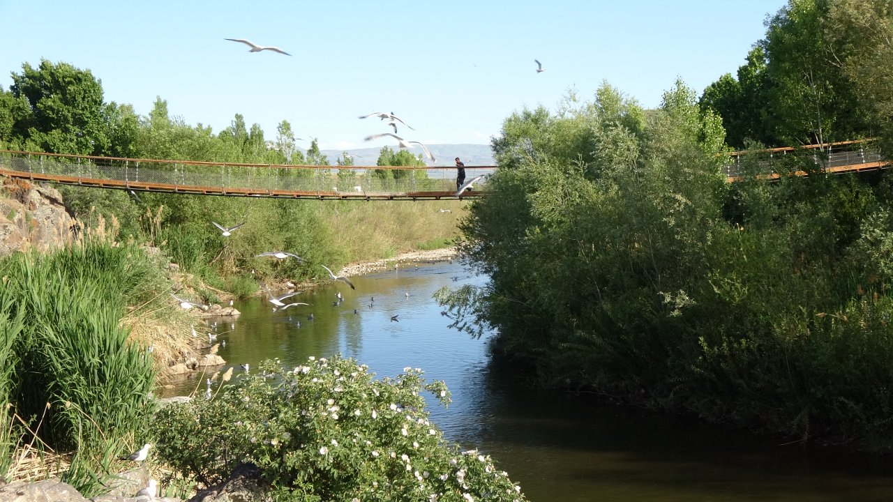 Emek dolu yolculuk! Van'da inci kefali göçü devam ediyor