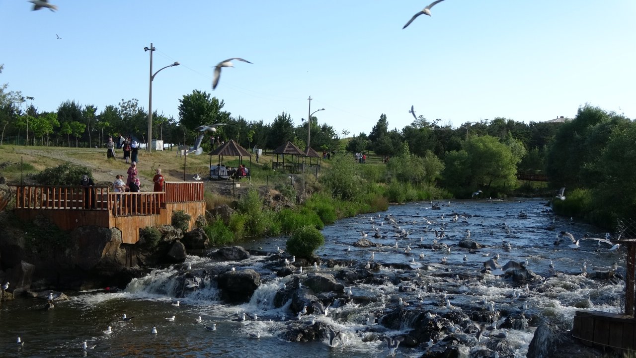 Emek dolu yolculuk! Van'da inci kefali göçü devam ediyor